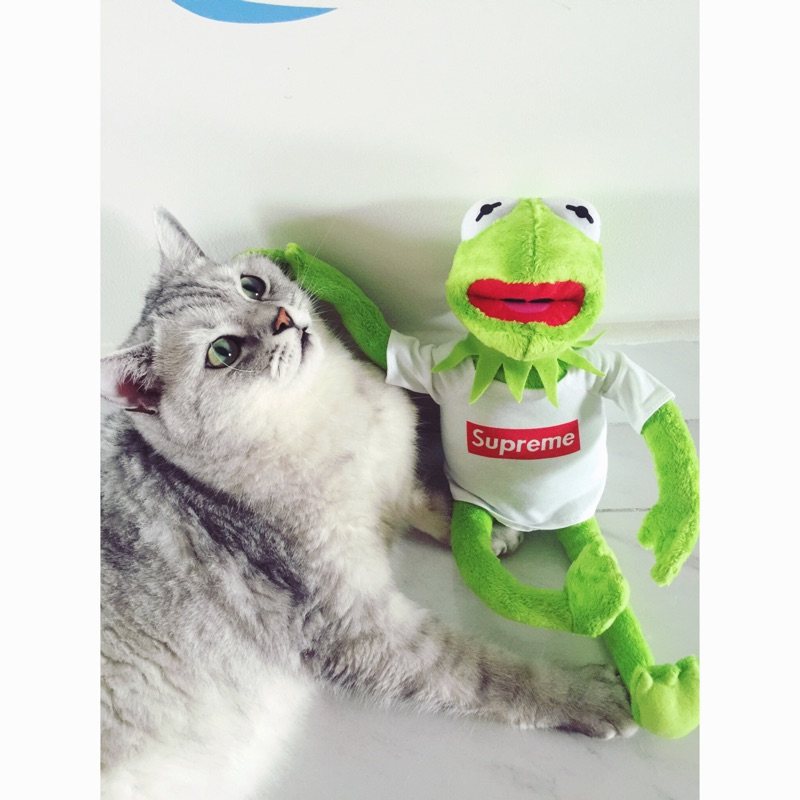 Coussin Manga - Ref 2689387 Image 11