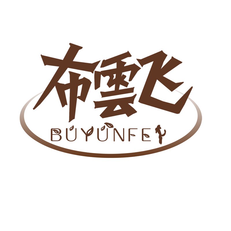 布云飞舞蹈鞋企业店