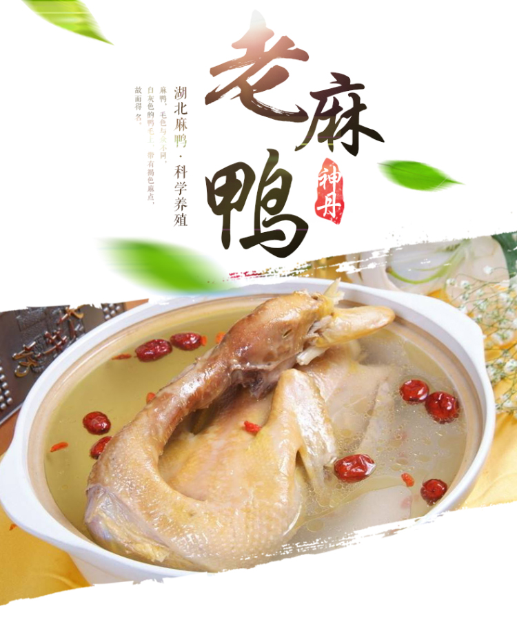 神丹 湖北孝感老麻鸭 活鸭现杀 900g 图2