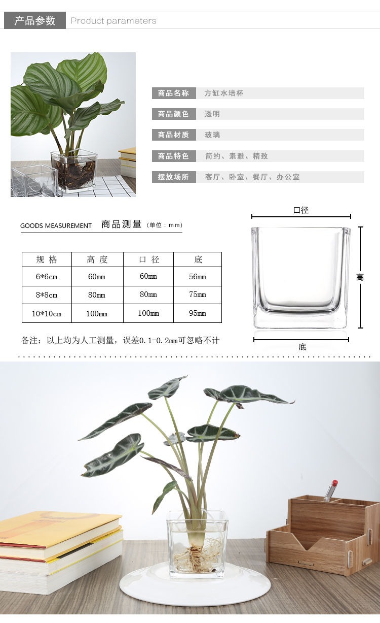 Bình thủy tinh vuông bình thủy canh chai thủy tinh thời trang bể cá nhỏ Hoa tre lớn và cây xanh - Vase / Bồn hoa & Kệ chậu cây treo ban công