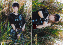 (Spot)SNH48 Neapolitan Dawn Inner seal written by Chen Ke 2 sheets 1SET