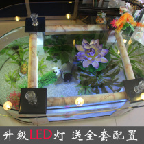 Long round coffee table aquarium aquarium ecological water-free custom goldfish tank ornamental fish factory direct sales