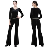 Бархатная элегантная спортивная одежда для тренировок, комплект