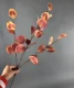 ins Bắc Âu mô phỏng lá táo tròn lá hoa sắp xếp vật liệu phù hợp với hoa cưới đám cưới hoa đường hướng dẫn vòm trang trí hoa - Hoa nhân tạo / Cây / Trái cây
