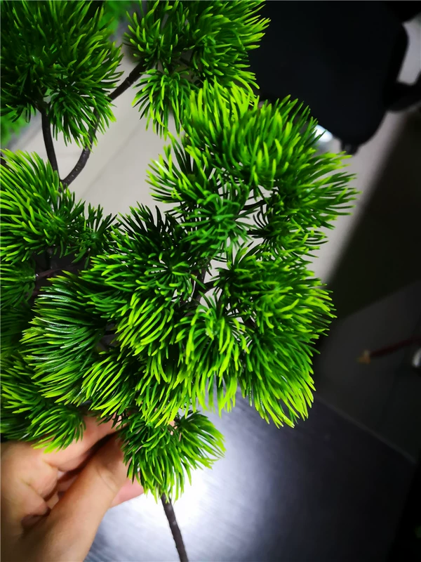 Nhà máy trực tiếp làm đẹp nhỏ thông thông mô phỏng kim thông chào đón cây thông phụ kiện hoa thông cây nhựa nhựa - Hoa nhân tạo / Cây / Trái cây hoa giả đẹp