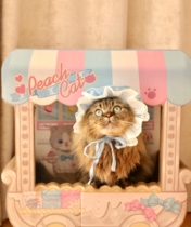 Cute Meow Cart Large Number Double Layer Cat Grab Board Integrated Without Assembly Cute Cat Nest Bed Store Cat Toy Quality