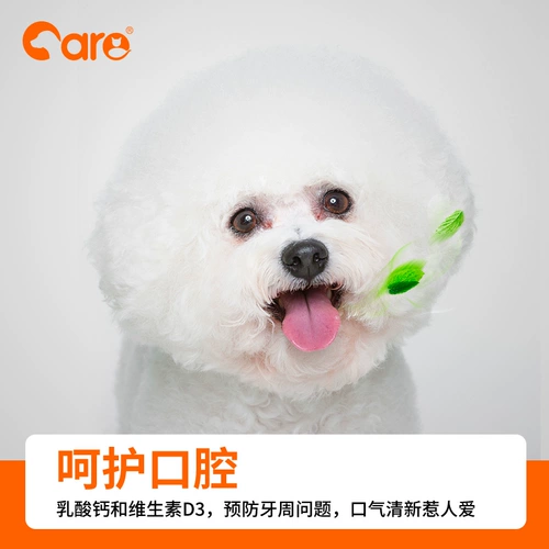 Хороший владелец корм для собак Biebian Специальные зерно