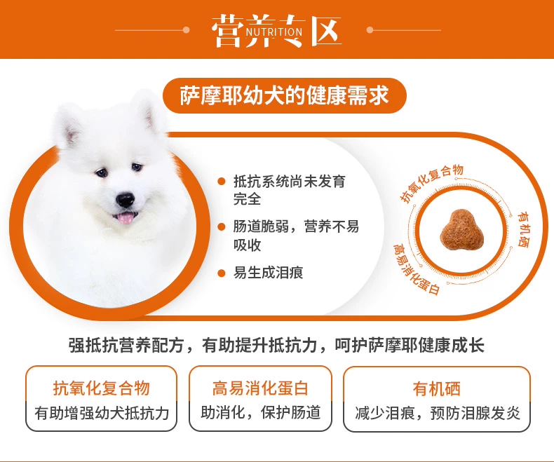 Chó chủ tốt Samoyed chó con thực phẩm thức ăn đặc biệt trung bình và chó lớn phổ quát chó con thức ăn cho chó 5 cân bổ sung canxi tóc đẹp - Chó Staples