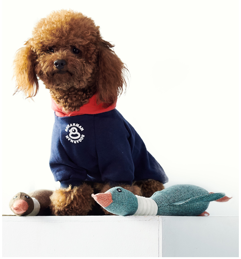 Beast thương hiệu đồ chơi chó sang trọng thú cưng mèo mole chó cắn cắn Golden Retriever con chó con cung cấp vật nuôi - Mèo / Chó Đồ chơi đồ chơi cho chó con ngứa răng