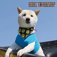 Spot Mooneyes Dog Scarf Pet Square Screen