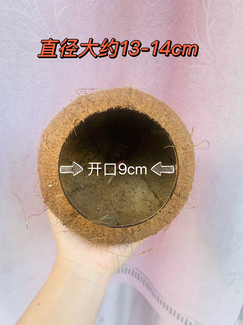 Hainan Wenchang raw material natural coconut shell flower pot planting decorated hamster to hide from nest bird's nest to keep warm over winter-Taobao