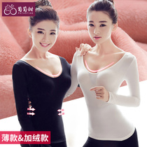 Low collar thermal underwear women hot padded velvet black autumn clothes white base shirt collar tight one-piece top