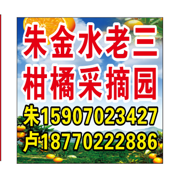 易家河桔农朱金水