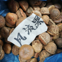 Fengliu Guantouzi large fruit Tianzhu grain Guangxi Jinxiu special fruit thick scale 500g soaked wine
