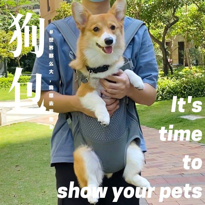 Dog Shoulder Bag Pet Out of Portable Dog Bag Double Shoulder Self-Back Small Teddy Kirky Satchel Pack Cat Packing Dog Chest Front Bag