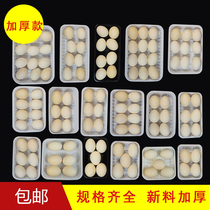 Disposable thickening fresh tray supermarket plastic rectangular fresh dish fruit vegetable pork tray