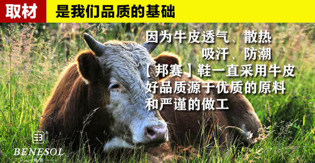 Giày nam Bangsai đích thực mùa xuân và mùa thu lớp da đầu tiên giày đế thấp để giúp giày che chân jordan dior cổ thấp