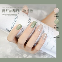 Свет обнаженной+зеленый серый+слой уплотнения.