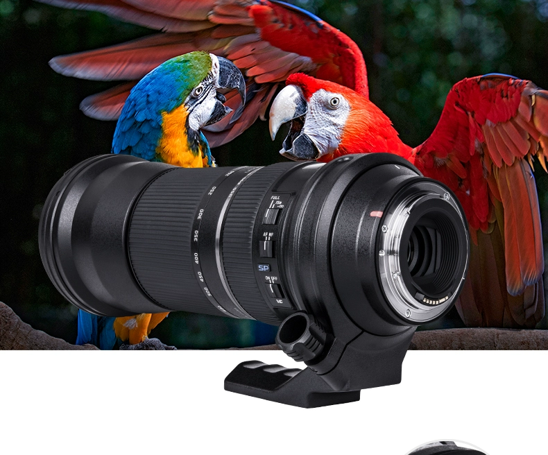 Tamron SP 150-600mm F / 5-6.3 Di VC USD A011 ống kính máy ảnh zoom zoom