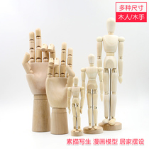 Fandi 12 inch wooden man model 20 30cm Comic sketch puppet man wooden joint doll wooden hand