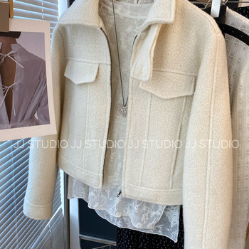 Korean Style ins! Korean Dongdaemun Stylish Stand-Up Collar Fashionable Zipper Wool Coat for Women, New Autumn/Winter 2025 Model