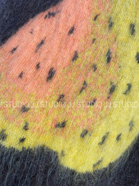 Brushed wool Korean Dongdaemun colorful fruit jacquard loose wool sweater women's winter knitted sweater top