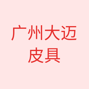 广州大迈皮具