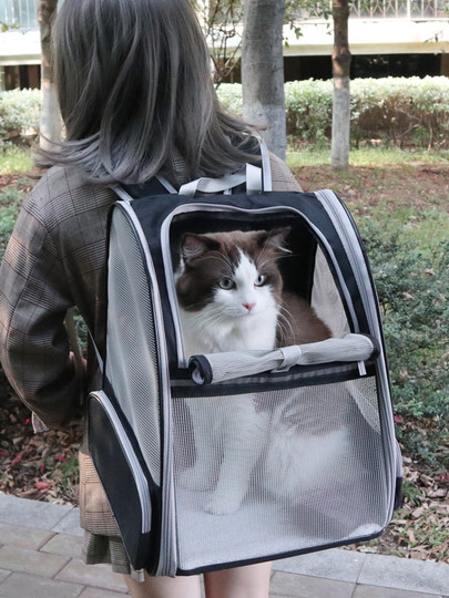Summer cat bag, breathable pet bag, cat backpack, Teddy trolley bag, cat bag, portable school bag for going out