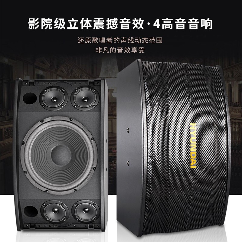 Modern HY-910A HY910B Home Cinema KTV Sound Conference Teaching Stage Store Speakers 10 inches