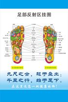 Human foot meridian acupoint map reflection area wall map Foot Foot Health Beauty Salon massage health care picture poster