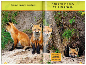 【外图原版】进口英文 美国国家地理读物 动物的家 National Geographic Kids Readers: Animal Homes (Pre-Reader)少儿读物 学前