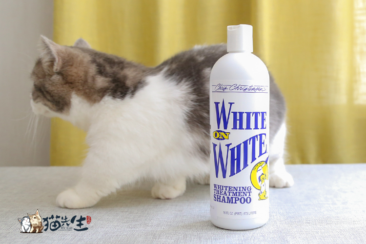 Ông Cat Kristinson White and White Restored Whitening Dầu gội Cat Dog Dầu gội tắm - Cat / Dog Beauty & Cleaning Supplies lược chải lông poodle