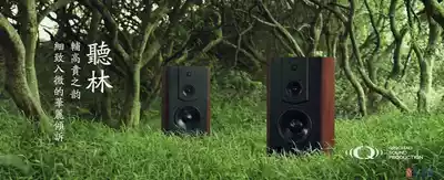 Old Qin Dynasty --- Qin dynasty flagship box QT10SRquot