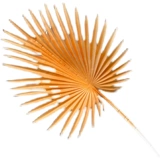 Свадебное симуляция цветок шампанский большой одуванчик для фаната.