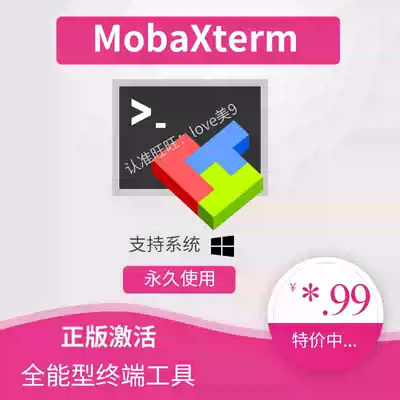 MobaXterm Professional 21 3 Professional Chinese version LICENSE file permanent use