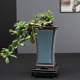 Boutique large Ge Kiln purple sand high style orchid special flower pot home indoor green plant potted cliff old pile pot