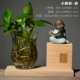 Bình thủy tinh Zen Trung Hoa thủy canh retro hoa chèn hoa khô gốm hoa trang trí chậu hoa xanh - Vase / Bồn hoa & Kệ chậu cây xi măng