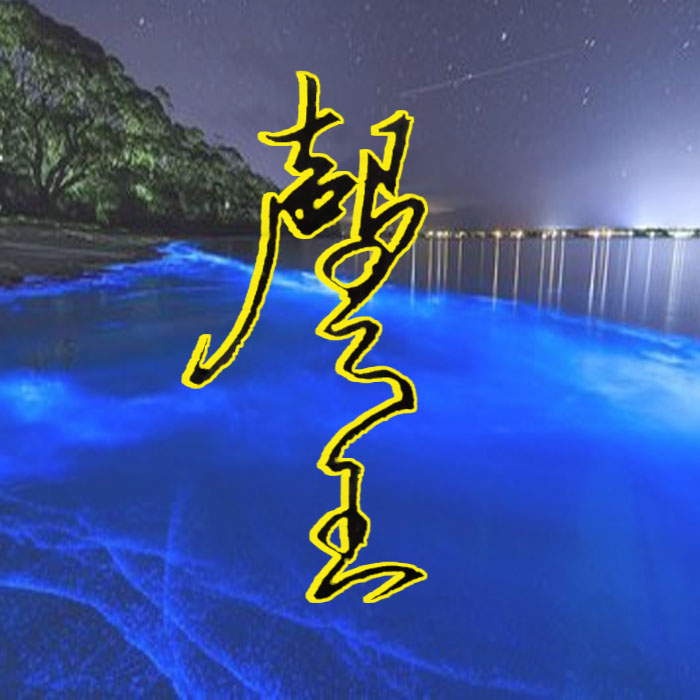 声王数码