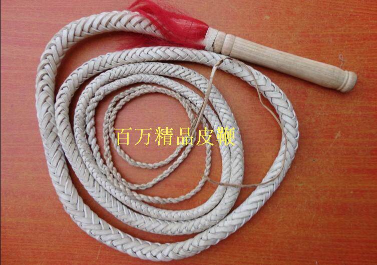 Article équitation - Ref 1382270 Image 5