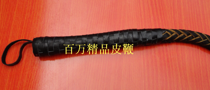 Article sports equestres - Ref 1380572 Image 9