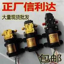Tai Zhou Shin Lida Micro Diaphragm Water Pump Electric Sprayer Electric Sprayer Motor Electric Pump Home Booster Pump Self-Absorbent