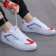Bailanhong-880219315310