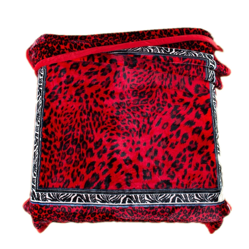 ��˼��ë̺�Ӻ�˫��11��