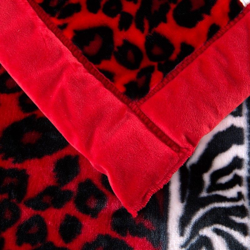 ��˼��ë̺�Ӻ�˫��11��