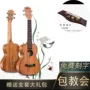 Ukulele người mới bắt đầu chơi nhạc cụ học sinh trưởng thành 23 inch gỗ nhỏ guitar - Nhạc cụ phương Tây đàn