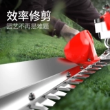 Машина с заповедником чай Триммер двойной кулинарный садовый обрезка