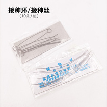 Vaccination Ring Laboratory Microbial Cells Inoculum Nickel-chromium Inoculation Ring Fitted with Inoculated Stick with 10 Packages