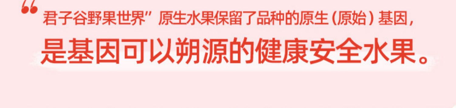 野果世界_低度起泡酒饮料组合微醺高颜值