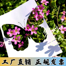 Hollow custom PVC stainless steel iron wall painting spray number pattern adhesive lettering sticker advertising spray paint template