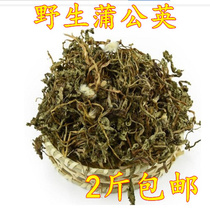 Wild Dandelion Chinese herbal medicine Gongying Mother-in-law Ding Huanghua Di Dingpu Gongying Tea 500g 2 pounds